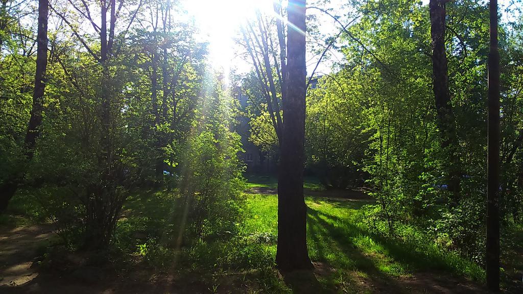 Tomsona Apartment Riga Center 외부 사진